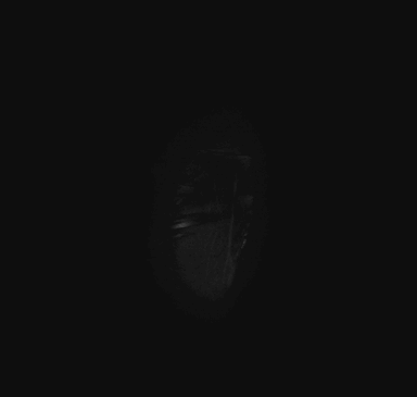 VFX 006